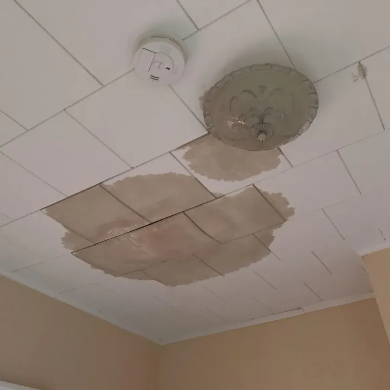 Ceiling Water Damage Repair in Bowling Green, OH
